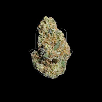 Classic Blue Dream (SALE)